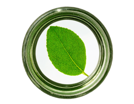 Glass Lens Hovering Above Leaf with Light Reflections, Botanical Study Concept, Isolated Transparent Background PNG