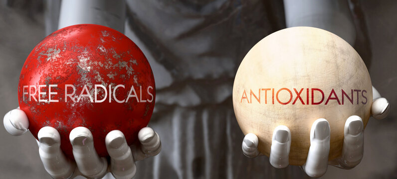 Free Radicals or Antioxidants - decide between two options. Greek statue presenting a choice: free radicals or antioxidants, weighing their values. Looking at pros and cons.  ,3d illustration