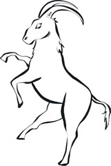 Obraz premium A striking ink drawing of a powerful goat rearing on its hind legs, showcasing an elegant and dynamic pose