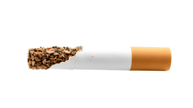 Broken Cigarette Single Piece – Isolated Tobacco Stick with White Paper and Brown Filter on Transparent Background