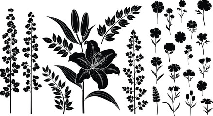 Silhouette Wildflowers and Botanical Floral Vector Set – Black Outline Flowers, Leaves, and Stems for Nature Design and Decoration Use