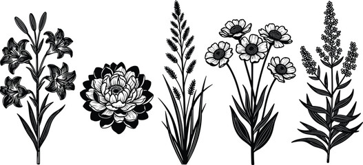 Vintage Botanical Flower Vector Set in Black and White – Hand-Drawn Wildflowers, Floral Illustration for Tattoo, Decor, or Nature Design.