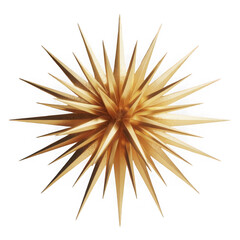 Fototapeta premium 3d rendered golden starburst decoration isolated on transparent background.