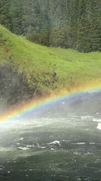 A rainbow appears in the mist of a roaring waterfall near a forest cliff, captured in vertical video, symbolizing beauty, nature, wilderness and outdoor adventure.