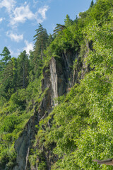 The rocky slopes of the Altai Mountains covered with dense forest