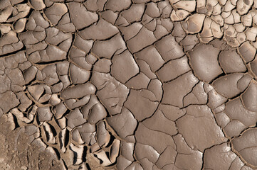 Wet mud on the side of the road, drying and starting to crack