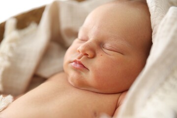 Cute newborn child sleeping in baby nest indoors