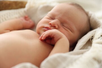 Cute newborn child sleeping in baby nest indoors
