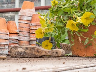 Stacked terracotta pots and rustic brush with flowers – garden aesthetics, eco-gardening...