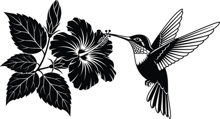 PrintBlack and white silhouette hummingbird in mid‑flight feeding on hibiscus flower, detailed floral vector, tropical nature pollination, elegant wildlife illustration for decorative design