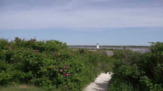 Discover a scenic coastal path leading to a beautiful lighthouse on a sunny summer day