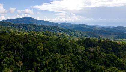 Fototapeta premium Lush green rainforest foliage covers rolling hills, stretching to distant mountain ranges under a light, partly cloudy sky.