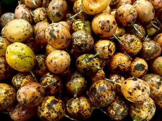 Fresh, ripe passion fruit on the tree with a golden yellow skin, inside there are crunchy seeds surrounded by yellow pulp.