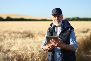 Senior farmer with tablet in field of ripe wheat outdoors, space for text