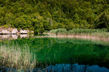 Plitvice Lakes National Park in Croatia, showcasing vibrant waterfalls, crystal-clear lakes, and lush greenery. Captured in this stunning natural landscape.