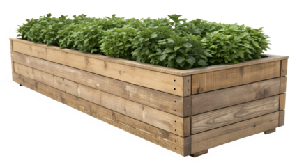 A Long Wooden Planter Box with Green Plants