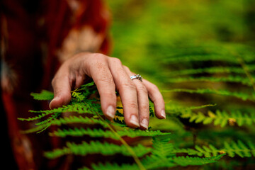 Close-up of hand touching green fern leaves in forest