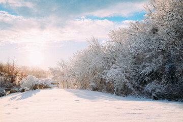Winter landscape with snow-covered trees and morning sunlight