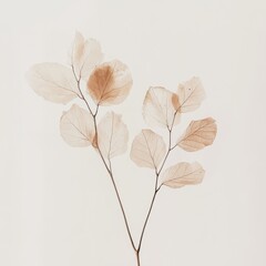 A delicate branch of dried eucalyptus leaves with a warm, earthy tone, isolated on a soft, neutral background, evoking a sense of natural elegance