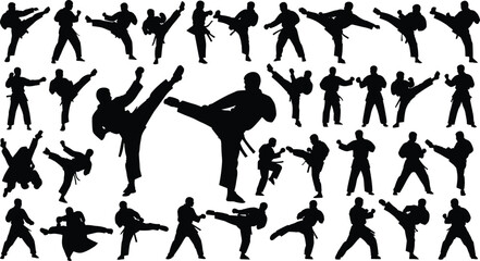 Silhouettes of Martial Arts Fighters in Action, Karate and Kickboxing Poses, Combat Training, Self-Defense Techniques, Martial Sport Motion