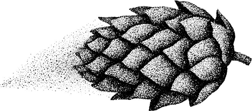 Stippling dotwork art of hops cone morph - vintage design for craft beer label and tattoo