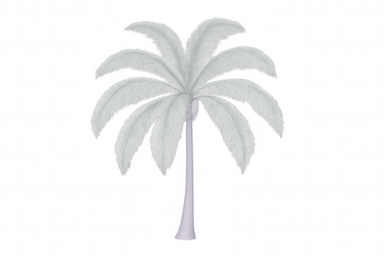 Realistic white palm tree isolated on transparent background, perfect for exotic and tropical designs