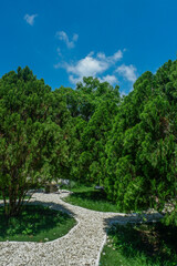 Garden landscape design with pathway in garden and footpath in picturesque summer park and staircase in backyard,Paving stones on floor in park,space for text.