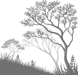 White Botanical Silhouette of Coastal Trees with Sprawling Branches and Tiny Leaves &ndash; Ultra-Fine Line Art in Cool Gray Tones
