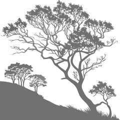 Obraz premium Detailed Line Drawing of Tall Slender Trees with Intricate Branch and Leaf Patterns – Soft Gray Lines on White Background Vector Illustration