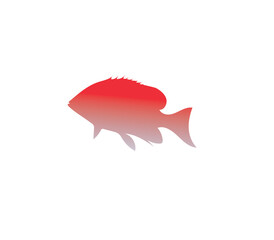 red fish on white background