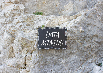 Data Mining symbol. Stone wall with words Data Mining. Beautiful stone background. Business and Data Mining concept. Copy space.