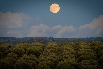 Paisaje lunar