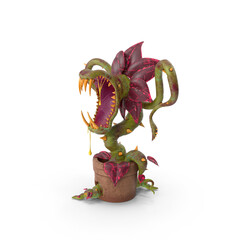 Venus flytrap carnivorous plant illustration © green earth