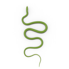 Green snake top view