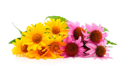 Yellow and purple flowers isolated on white.