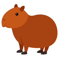 Capybara vector on white background
