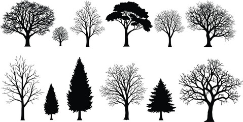Winter tree silhouette set, bare deciduous and pine trees vector collection, leafless forest clipart, seasonal nature illustration pack