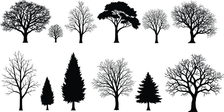 Winter tree silhouette set, bare deciduous and pine trees vector collection, leafless forest clipart, seasonal nature illustration pack