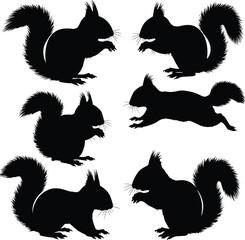 Black silhouette of a squirrel set, vector illustration, wildlife animal, forest dweller, fluffy tail, rodents, isolated drawing.