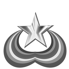Fototapeta premium silver star on white background