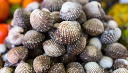 Close-up view of numerous cockleshells piled high, showcasing intricate patterns and varied shades of brown and gray.
