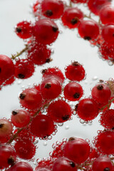 macro photo of different berries in a cocktail with bubbles