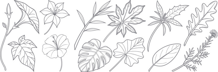 Collection of decorative leaf illustrations in elegant monochrome style. Detailed botanical elements perfect for autumn, nature, and organic designs. Ideal for patterns, prints, and eco-friendly graph