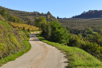 Winding country road through vineyards in the Langhe vineyard hills, Unesco World Heritage Site, in autumn, Treiso (Cuneo), Piedmont, Italy