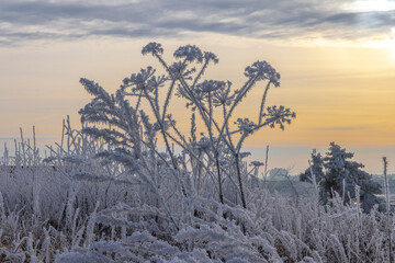 Raureif überzieht die gesamte Landschaft - ein Wintermärchen und ein seltenes Naturschauspiel