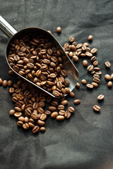 roasted beans specialty arabica coffee for filter
