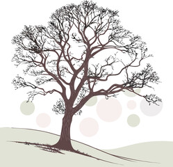 Obraz premium Minimalistic Vector of a Lone Tree with Intricate Branching – Translucent Overlapping Shapes in Pale Pink and Olive