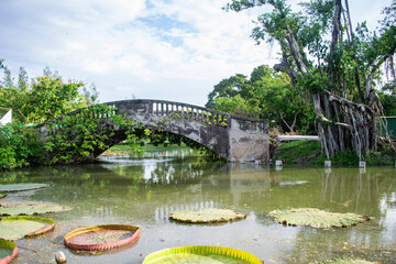  Suan Luang Rama IX park Bangkok Thailand

