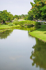  Suan Luang Rama IX park Bangkok Thailand

