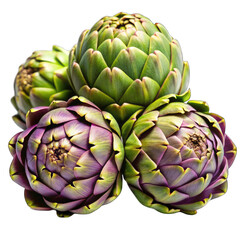 Fototapeta premium artichoke on green background